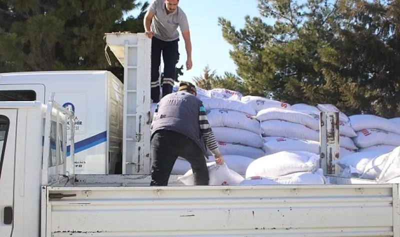 Antalya  Büyükşehir’den üreticilere süt yem desteği