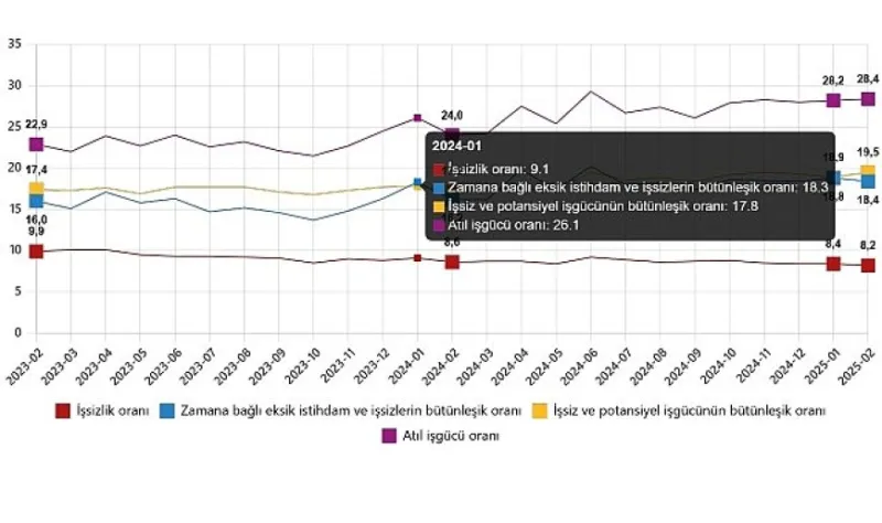 İşgücü İstatistikleri, Şubat 2025