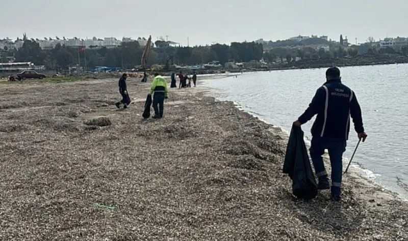 Mavişehir Sahili’nde Detaylı Temizlik Çalışması Yapıldı