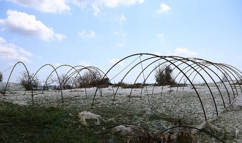 Büyükşehir ekipleri dolu yağışında mağdur olan çiftçinin yanında