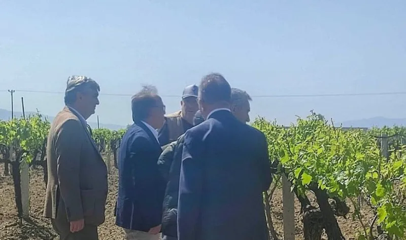 Büyükşehir’den Don Zararına Uğrayan Üreticilere Destek