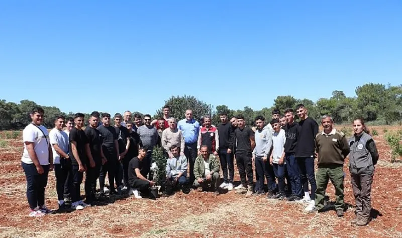 Çeşme Damla Sakızı Kıbrıs Topraklarında