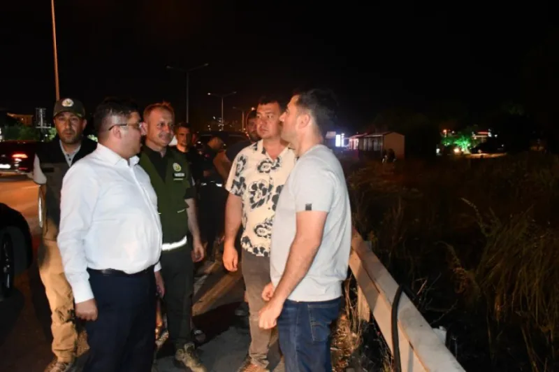 Mudanya Yolu’ndaki yangın kontrol altına alındı! 4 dönüm alan zarar gördü!