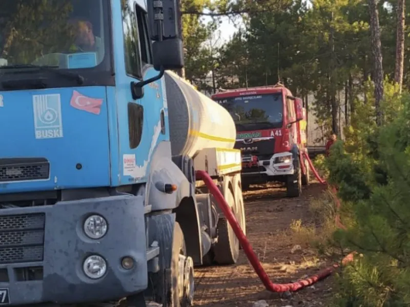 Bursa’da orman yangınlarında son durum… 9 mahalle boşaltıldı, hayvan barınağı yandı!