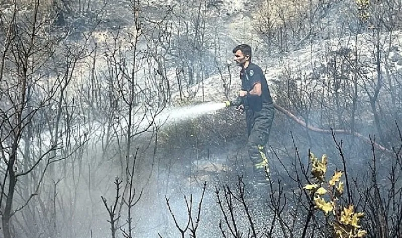 Kocaeli itfaiyesi Bursa’ya desteğe koştu