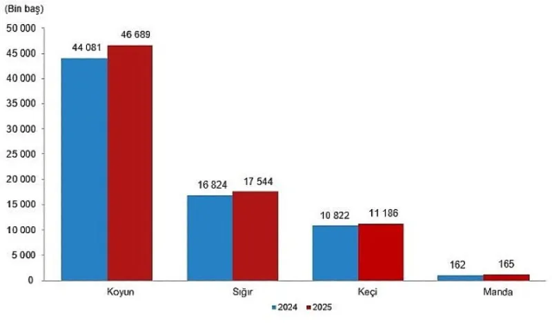 Hayvansal Üretim İstatistikleri, 2025