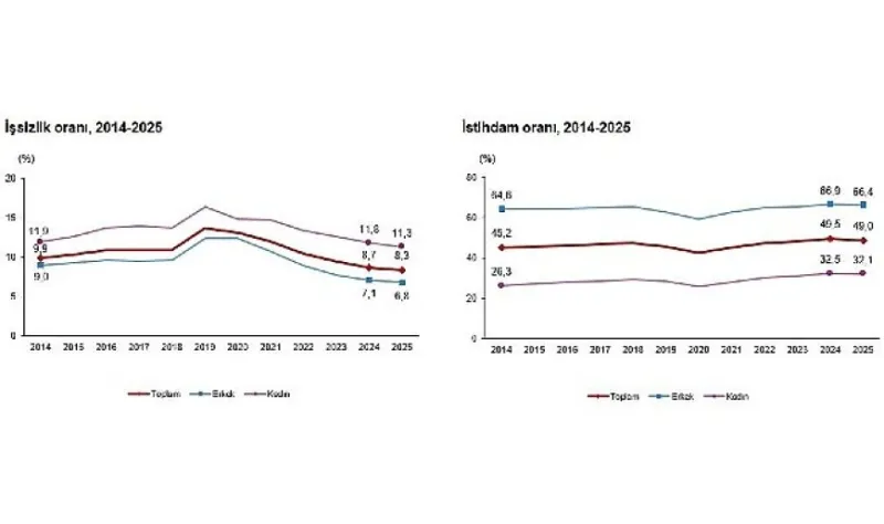 İşgücü İstatistikleri, 2025