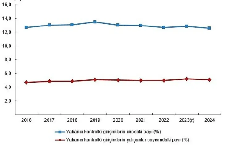 Yabancı Kontrollü Girişim İstatistikleri, 2024
