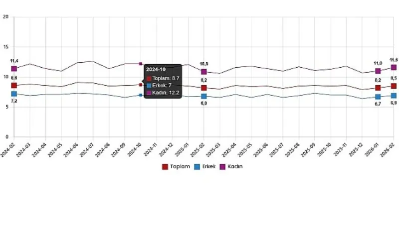 İşgücü İstatistikleri, Şubat 2026