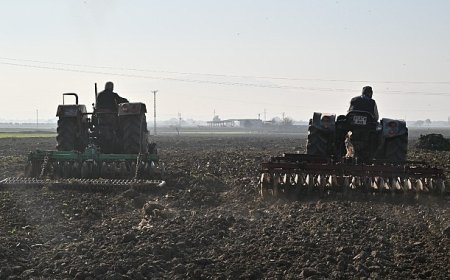 Büyükşehir’in Tohumları Sarıçalı Mahallesi’nin Merasını Yeşertecek