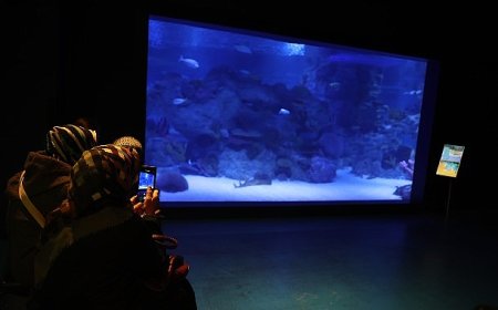 Engelliler, su altı dalışı yaparak yeteneklerini sergiledi