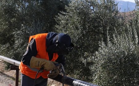 Mahalle Muhtarı Şanlı: Özlem Başkanımızın Hizmetlerinden Çok Memnunuz