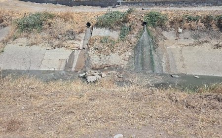 Büyükşehir, Temiz Çevre için Görev Başında