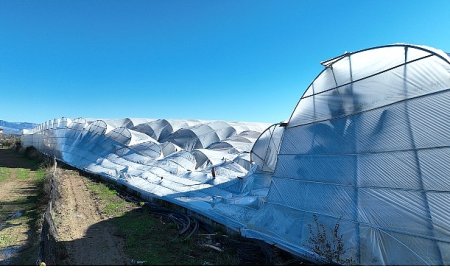 Büyükşehir Belediyesi seraları zarar gören çiftçinin yanında