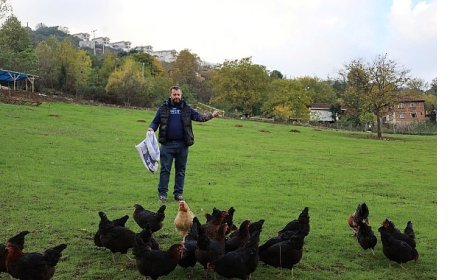 Kırsalda geçim kapısı güçleniyor, istihdam artıyor