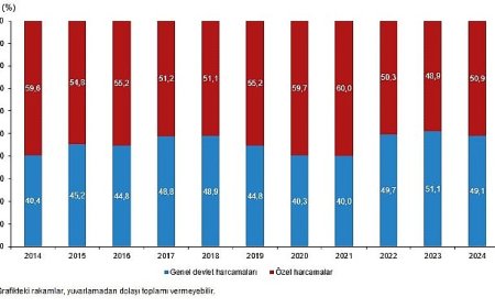 Kültür Ekonomisi, 2024