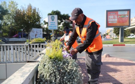 Antalya’da kışlık çiçeklerle rengarenk kent silüeti