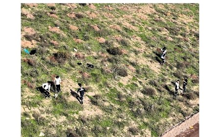 Büyükşehir’in dokunuşlarıyla Kocaeli yeşile doyuyor