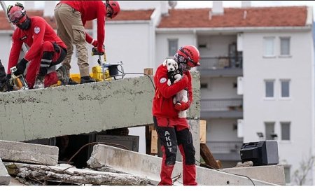 Torbalı’da Hayvan Arama Kurtarma Eğitimi