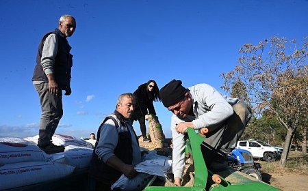 Salihli Belediyesi Buğday Ekimine Başladı