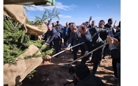 Başkan Altay “Geleceğe Nefes Konya’ya Hayat” Programında Öğrencilerle Fidan Dikti