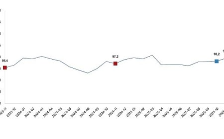 Ekonomik Güven Endeksi, Kasım 2025