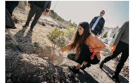 Çeşme’de 411 fidan, binlerce adım, tek bir söz: “İstanbul Sözleşmesi yaşatır”