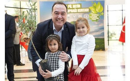 Büyükşehir’den Örnek Çevre Projesi: Atık Pil Getirene Zeytin Fidanı