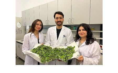 BİLGİ’li öğrenciler antibiyotik direncine karşı yenilikçi ve doğal bir yöntem geliştirdi