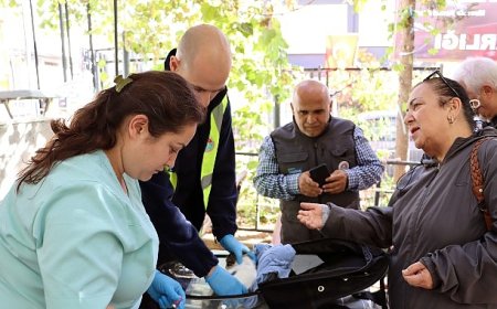 Hayvanlara yerinde tedavi