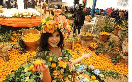 Seferihisar’ın köklü geleneklerinden biri olan Mandalina Şenliği, bu yıl 25’inci kez düzenleniyor.