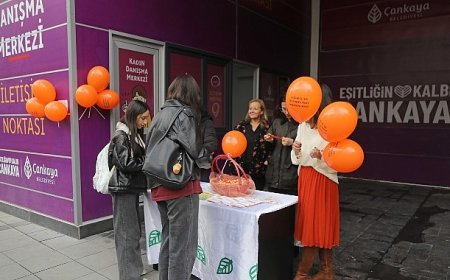 25 Kasım Kadına Yönelik Şiddete Karşı Mücadele ve Dayanışma Günü Etkinlikleri