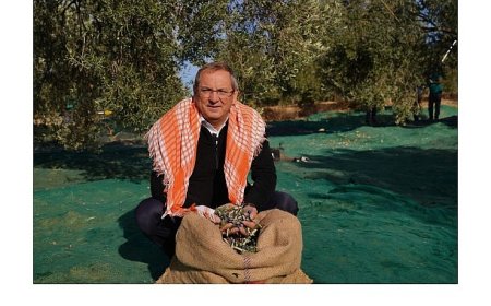 Mesut Ergin: “Dünya Zeytin Ağacı Günü Kutlu Olsun”