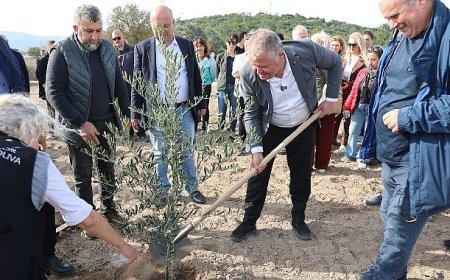Atatürk’ün Vasiyeti Urla’da Hayata Geçti: Zeytin Koleksiyon Bahçesi’nde İlk Fidan Dikimi