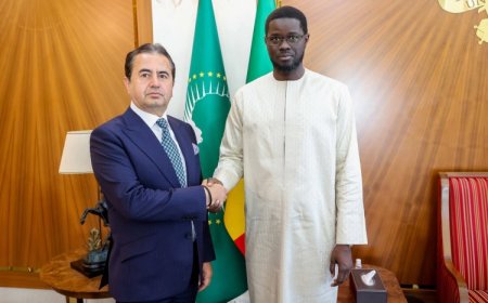 Türk iş adamının Senegal’de üst düzey işbirliği adımı