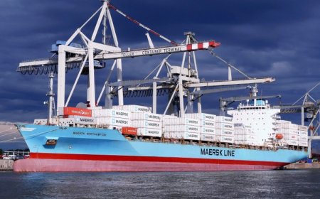 Dünya devinden Türkiye filosuna iki dev konteyner gemisi