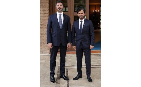 FIA’dan TOSFED’e Övgü Dolu Paylaşım