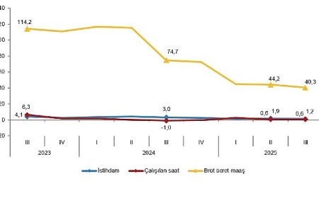 İşgücü Girdi Endeksleri, III. Çeyrek: Temmuz-Eylül, 2025