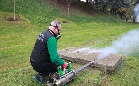 Sinekle mücadele sonbaharda da hız kesmiyor
