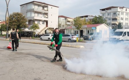 Kocaeli’de sinekle mücadele dört mevsim hız kesmiyor