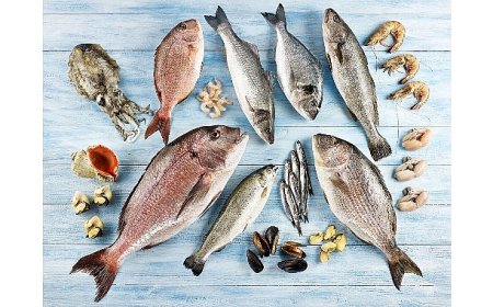 Su ürünleri ve hayvansal mamuller ihracatının yüzde 47’si Ege Bölgesi’nden yapıldı