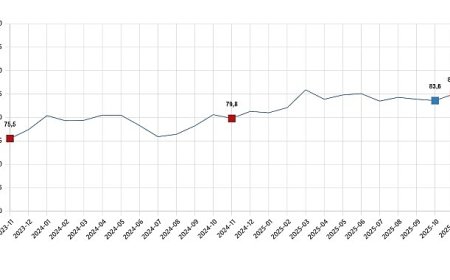 Tüketici Güven Endeksi, Kasım 2025