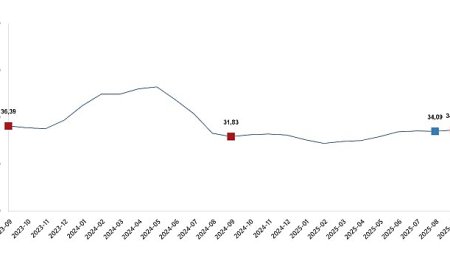 Tarımsal Girdi Fiyat Endeksi, Eylül 2025