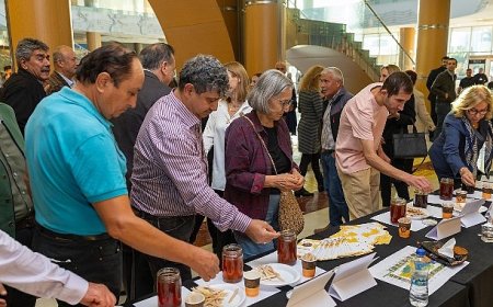 Yenişehir Belediyesi arı merası kuran Türkiye’deki ilk belediye oldu