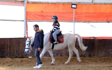 Ara tatili at üstünde geçirdiler