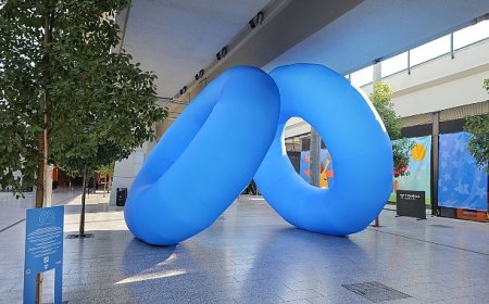 Boehringer Ingelheim Türkiye ve İç Hastalıkları Uzmanlık Eğitim Araştırma Derneği’nden Diyabet Farkındalığına Yönelik Proje