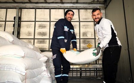 Büyükşehir’den arıcılara yüzde 50 hibeli arı yemi