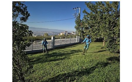Dilovası Millet Bahçesi dip köşe temizleniyor
