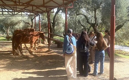 Narlıdere Belediyesi’nden Gönüllülere Teşekkür