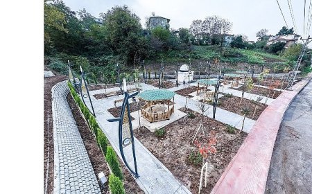 Canik’te Park Seferberliği: Park Alanları 144 Bin Metrekareye Yükseldi